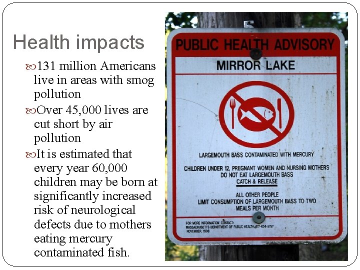 Health impacts 131 million Americans live in areas with smog pollution Over 45, 000 Health impacts 131 million Americans live in areas with smog pollution Over 45, 000