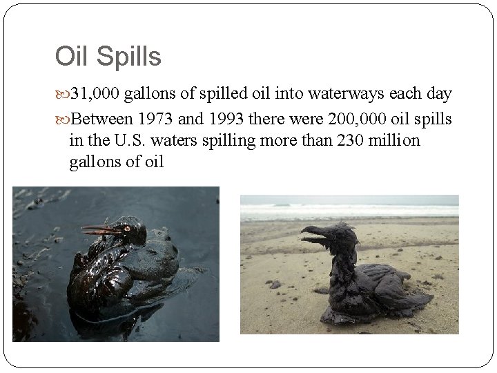 Oil Spills 31, 000 gallons of spilled oil into waterways each day Between 1973 Oil Spills 31, 000 gallons of spilled oil into waterways each day Between 1973