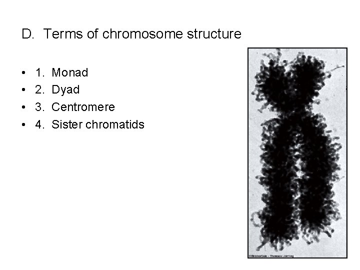 D. Terms of chromosome structure • • 1. 2. 3. 4. Monad Dyad Centromere