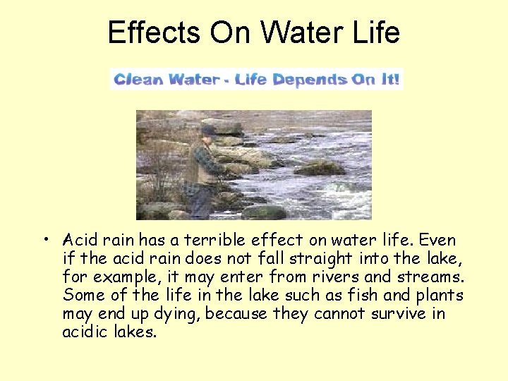 Effects On Water Life • Acid rain has a terrible effect on water life.