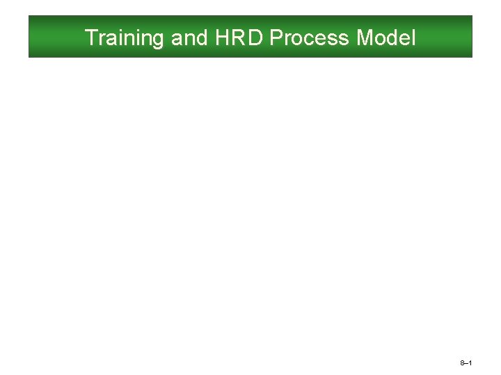 Training and HRD Process Model 8– 1 