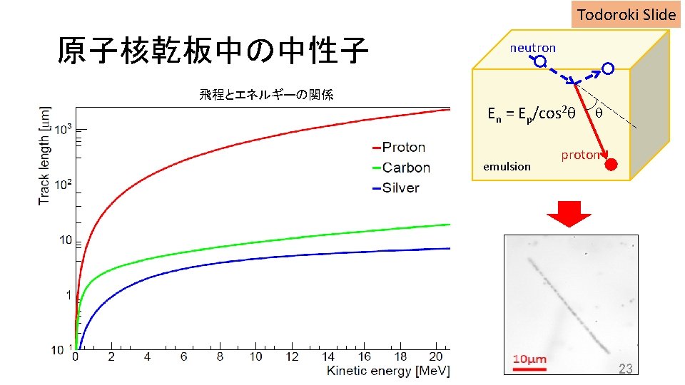 Todoroki Slide 原子核乾板中の中性子 neutron 飛程とエネルギーの関係 En = Ep/cos 2 q emulsion q proton 23 Todoroki Slide 原子核乾板中の中性子 neutron 飛程とエネルギーの関係 En = Ep/cos 2 q emulsion q proton 23