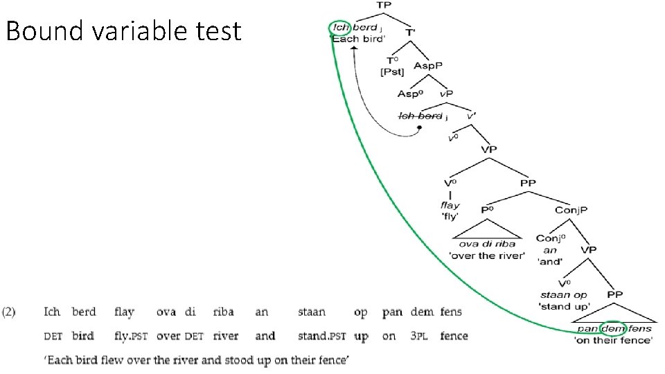Bound variable test 