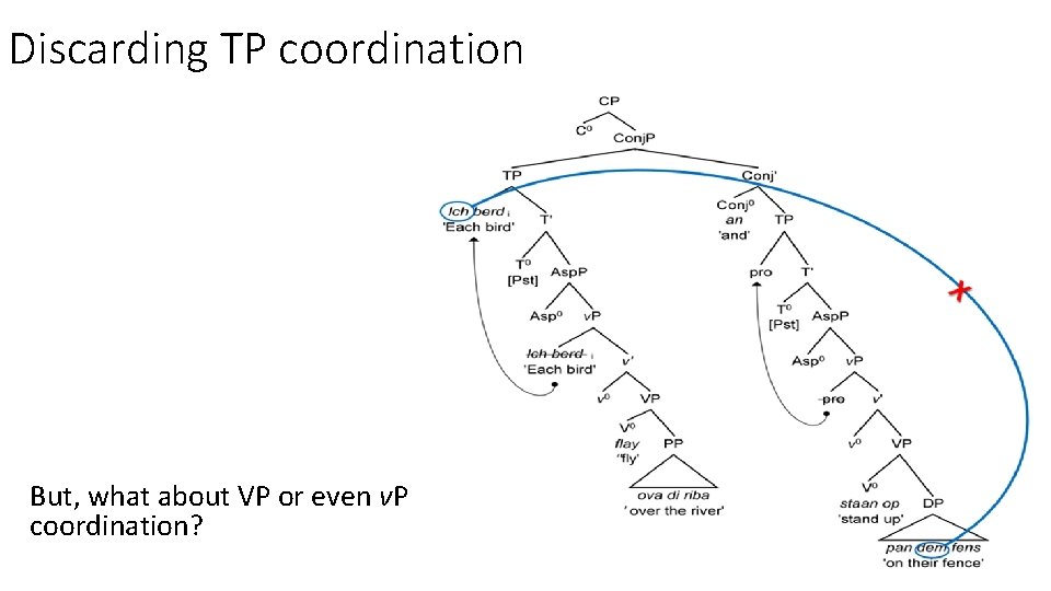 Discarding TP coordination But, what about VP or even v. P coordination? 