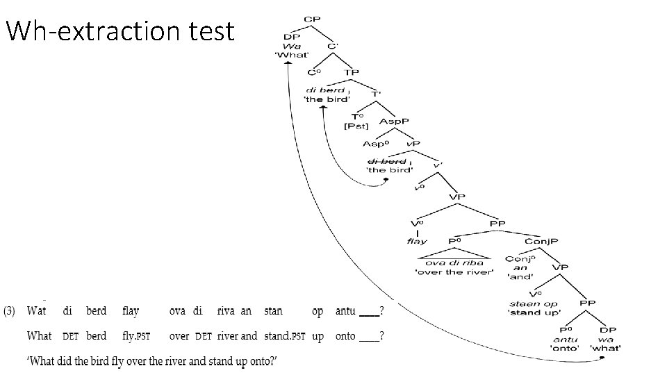 Wh-extraction test 