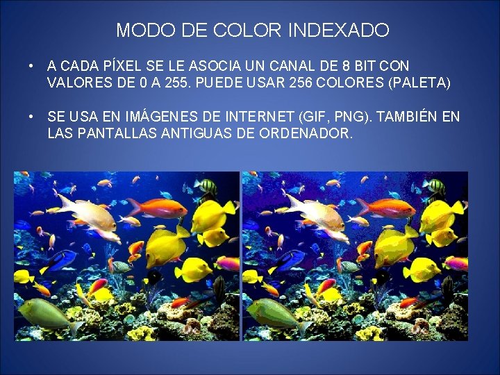 MODO DE COLOR INDEXADO • A CADA PÍXEL SE LE ASOCIA UN CANAL DE