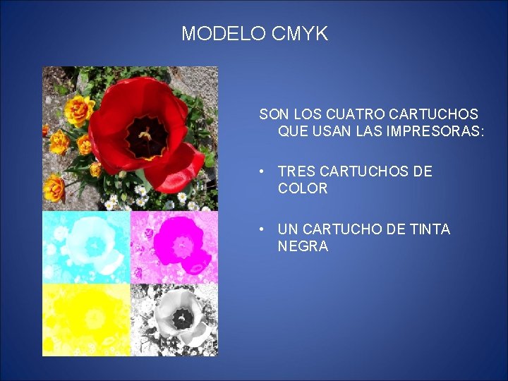 MODELO CMYK SON LOS CUATRO CARTUCHOS QUE USAN LAS IMPRESORAS: • TRES CARTUCHOS DE