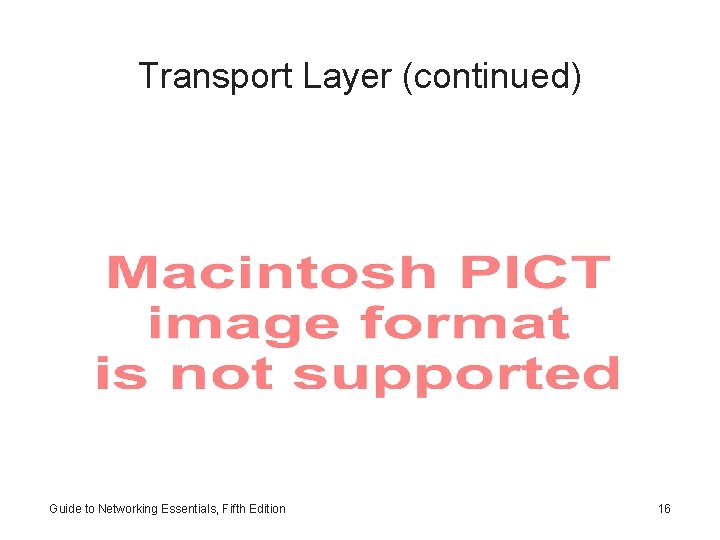 Transport Layer (continued) Guide to Networking Essentials, Fifth Edition 16 