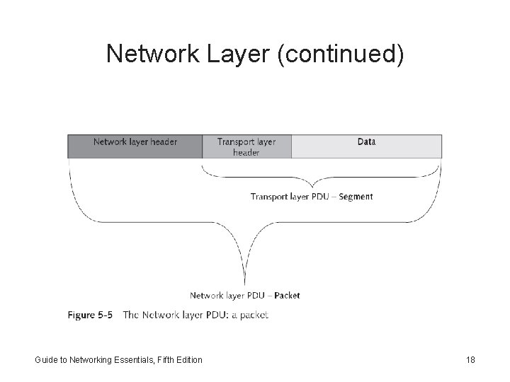 Network Layer (continued) Guide to Networking Essentials, Fifth Edition 18 