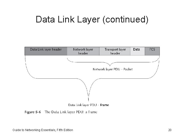 Data Link Layer (continued) Guide to Networking Essentials, Fifth Edition 20 