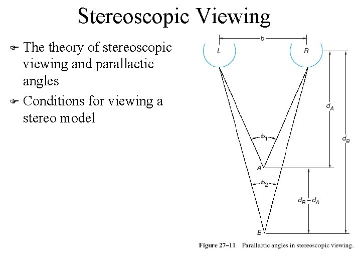 Stereoscopic Viewing The theory of stereoscopic viewing and parallactic angles F Conditions for viewing