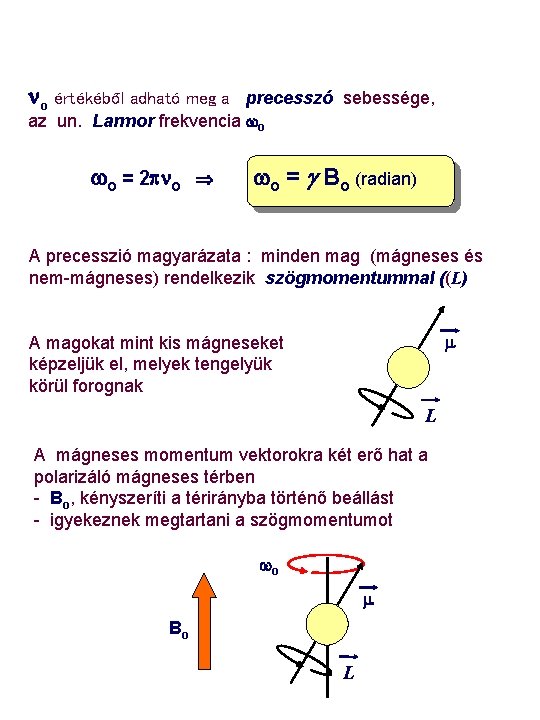 no értékéből adható meg a precesszó sebessége, az un. Larmor frekvencia wo wo =