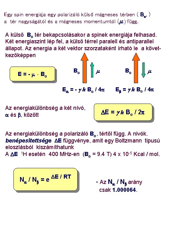 Egy spin energiája egy polarizáló külső mágneses térben ( Bo, ) a tér nagyságától