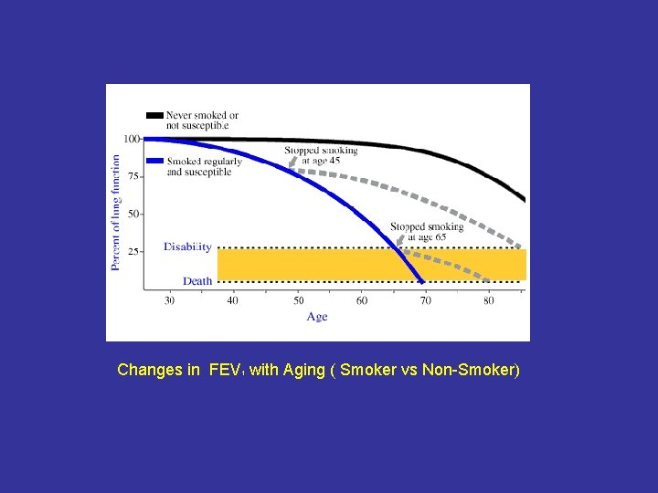 Changes in FEV with Aging ( Smoker vs Non-Smoker) 1 