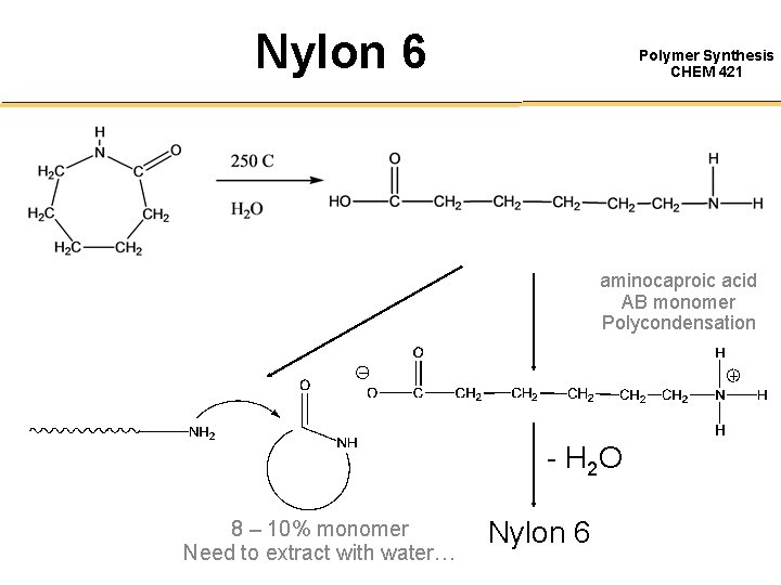 Nylon 6 Polymer Synthesis CHEM 421 aminocaproic acid AB monomer Polycondensation - H 2