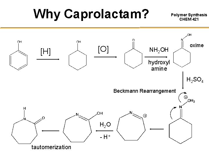 Why Caprolactam? [H] [O] Polymer Synthesis CHEM 421 NH 2 OH oxime hydroxyl amine