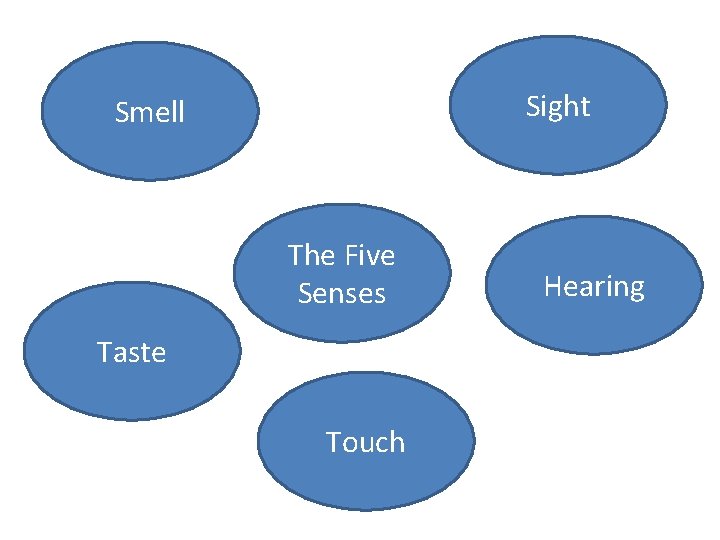 Sight Smell The Five Senses Taste Touch Hearing 