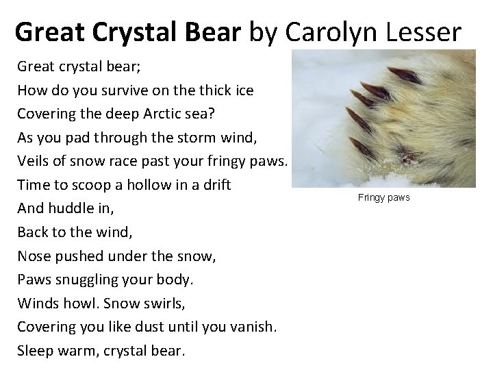 Great Crystal Bear by Carolyn Lesser Great crystal bear; How do you survive on