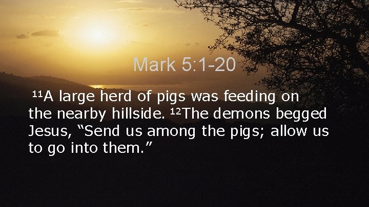 Mark 5: 1 -20 11 A large herd of pigs was feeding on the