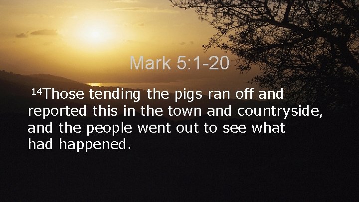 Mark 5: 1 -20 14 Those tending the pigs ran off and reported this