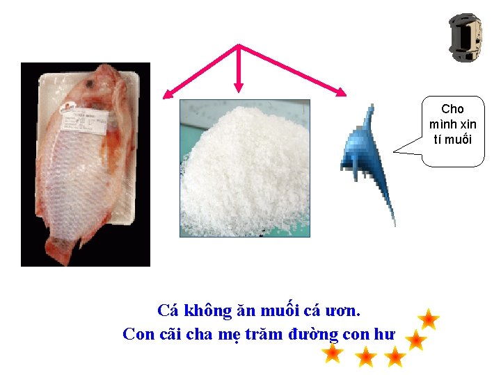 MUỐI Cá không ăn muối cá ươn. Con cãi cha mẹ trăm đường con