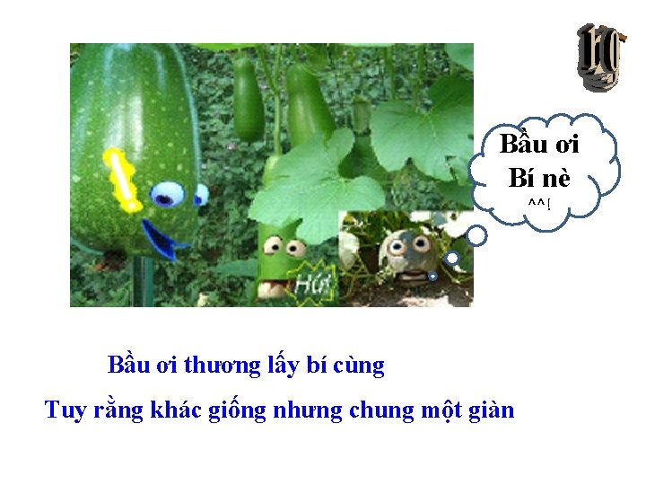 Bầu ơi Bí nè ^^! Bầu ơi thương lấy bí cùng Tuy rằng khác