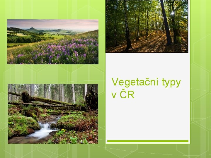 Vegetační typy v ČR 