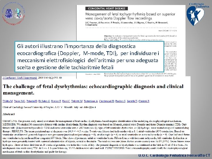 Gli autori illustrano l'importanza della diagnostica ecocardiografica (Doppler, M-mode, TDI), per individuare i meccanismi