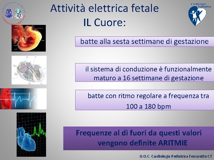 Attività elettrica fetale IL Cuore: batte alla sesta settimane di gestazione il sistema di