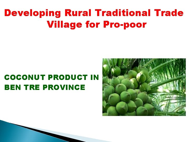 Developing Rural Traditional Trade Village for Pro-poor COCONUT PRODUCT IN BEN TRE PROVINCE Developing Rural Traditional Trade Village for Pro-poor COCONUT PRODUCT IN BEN TRE PROVINCE