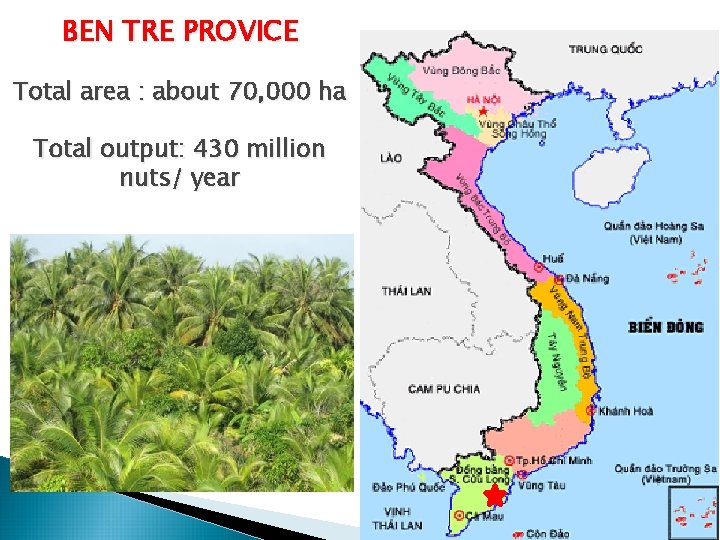 BEN TRE PROVICE Total area : about 70, 000 ha Total output: 430 million BEN TRE PROVICE Total area : about 70, 000 ha Total output: 430 million