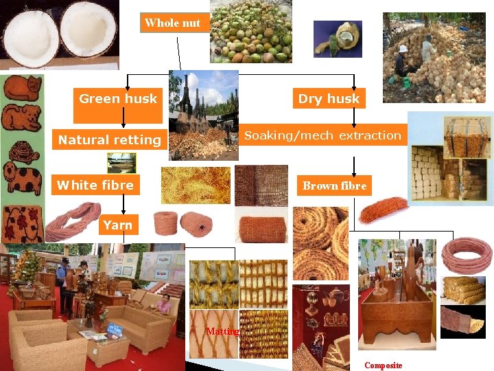 Whole nut Green husk Dry husk Soaking/mech extraction Natural retting White fibre Brown fibre Whole nut Green husk Dry husk Soaking/mech extraction Natural retting White fibre Brown fibre