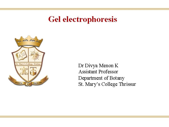 Gel electrophoresis Dr Divya Menon K Assistant Professor Department of Botany St. Mary’s College
