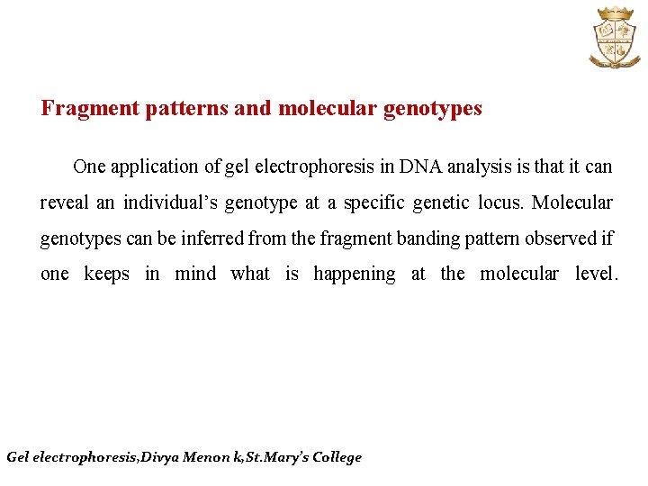 Fragment patterns and molecular genotypes One application of gel electrophoresis in DNA analysis is