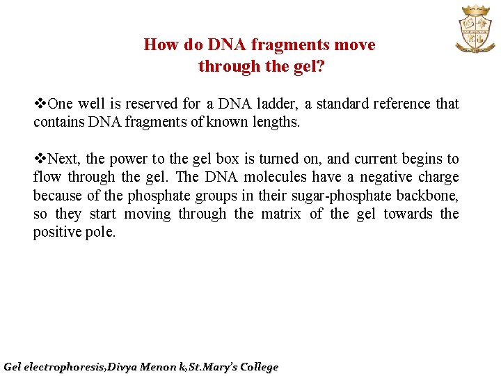 How do DNA fragments move through the gel? v. One well is reserved for