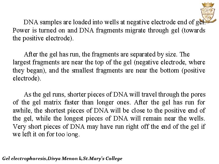 DNA samples are loaded into wells at negative electrode end of gel. Power is