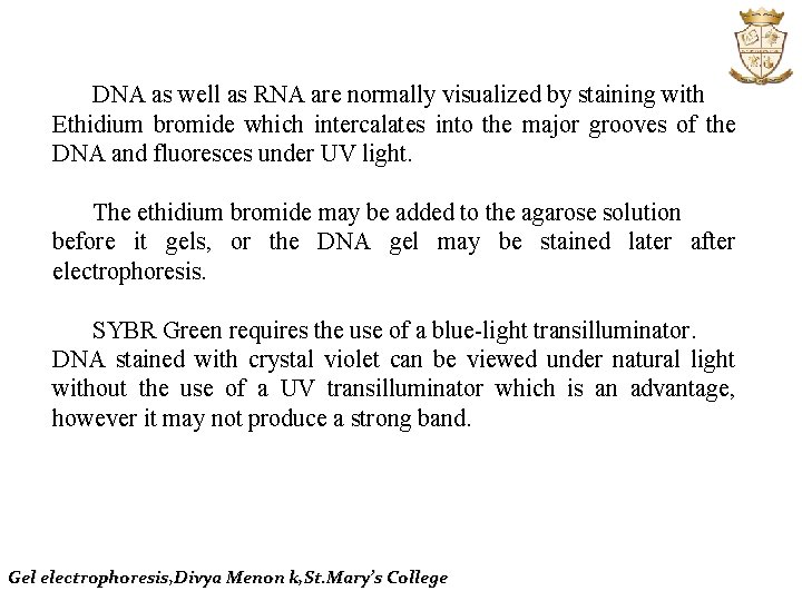 DNA as well as RNA are normally visualized by staining with Ethidium bromide which