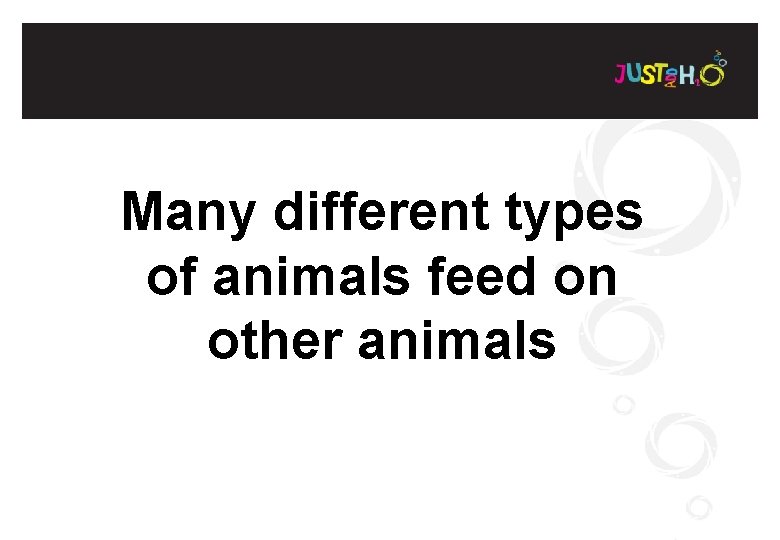 Many different types of animals feed on other animals 