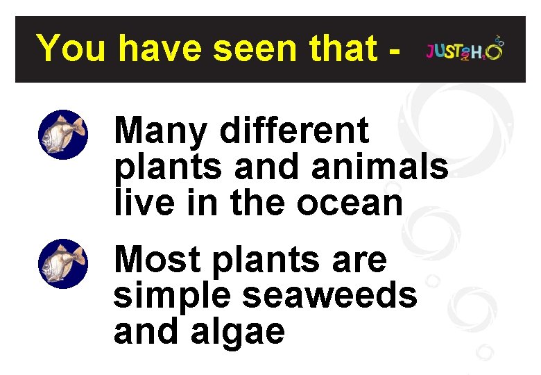 You have seen that Many different plants and animals live in the ocean Most