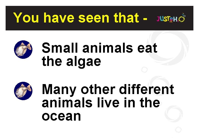 You have seen that Small animals eat the algae Many other different animals live