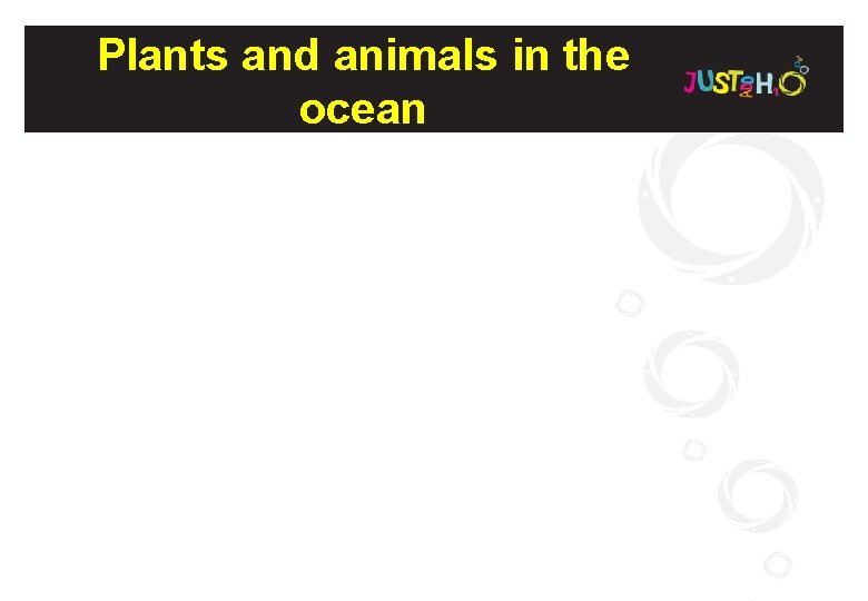 Plants and animals in the ocean 
