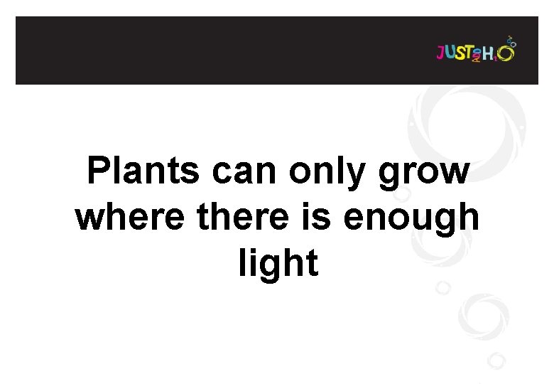 Plants can only grow where there is enough light 