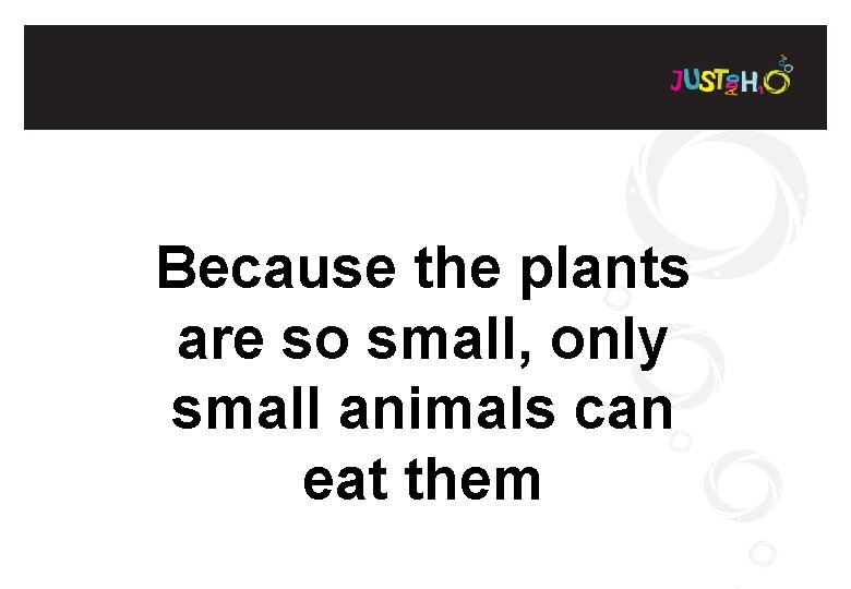 Because the plants are so small, only small animals can eat them 