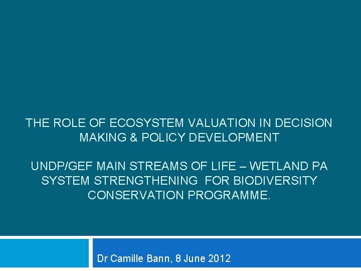 THE ROLE OF ECOSYSTEM VALUATION IN DECISION MAKING & POLICY DEVELOPMENT UNDP/GEF MAIN STREAMS