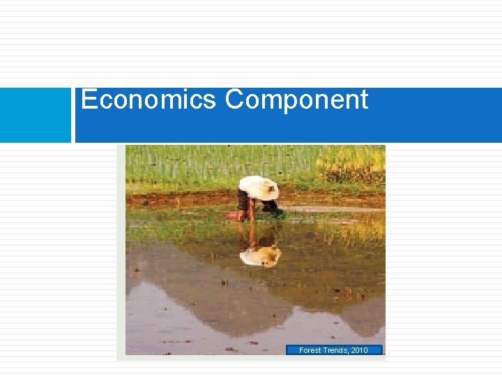 Economics Component F Forest Trends, 2010 