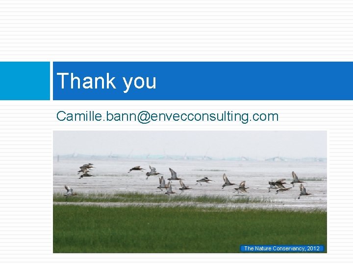 Thank you Camille. bann@envecconsulting. com The Nature Conservancy, 2012 