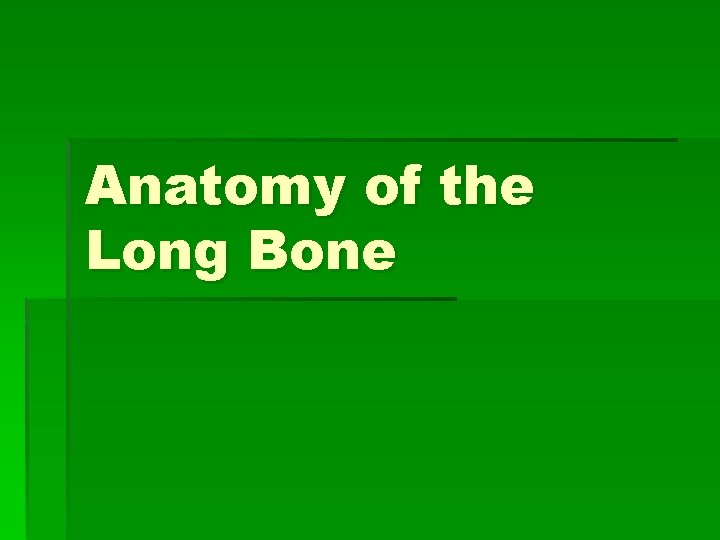 Anatomy of the Long Bone 