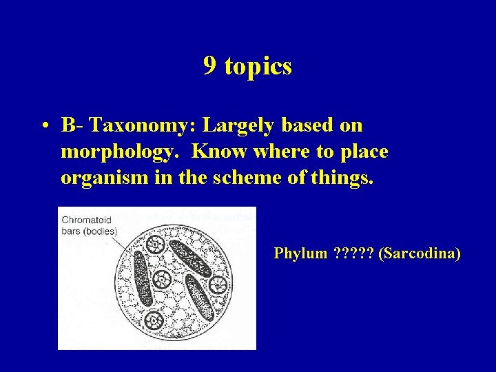 9 topics • B- Taxonomy: Largely based on morphology. Know where to place organism