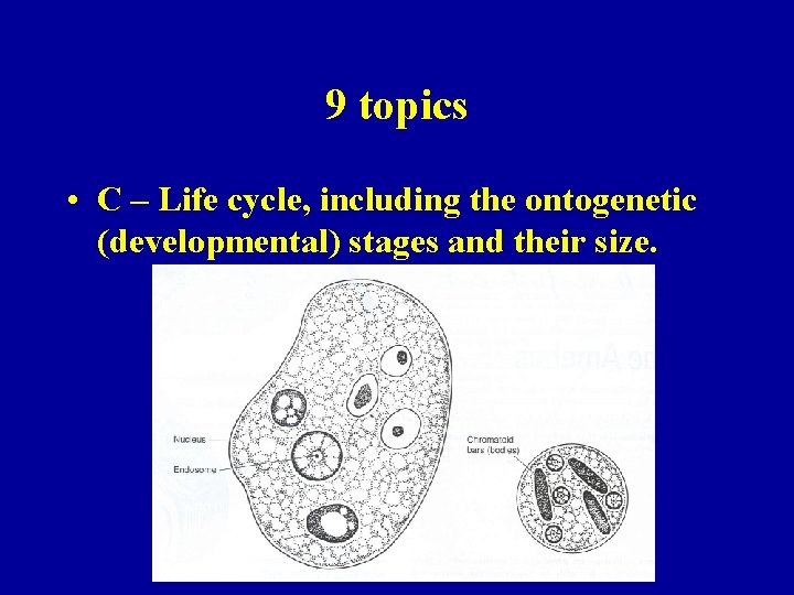 9 topics • C – Life cycle, including the ontogenetic (developmental) stages and their