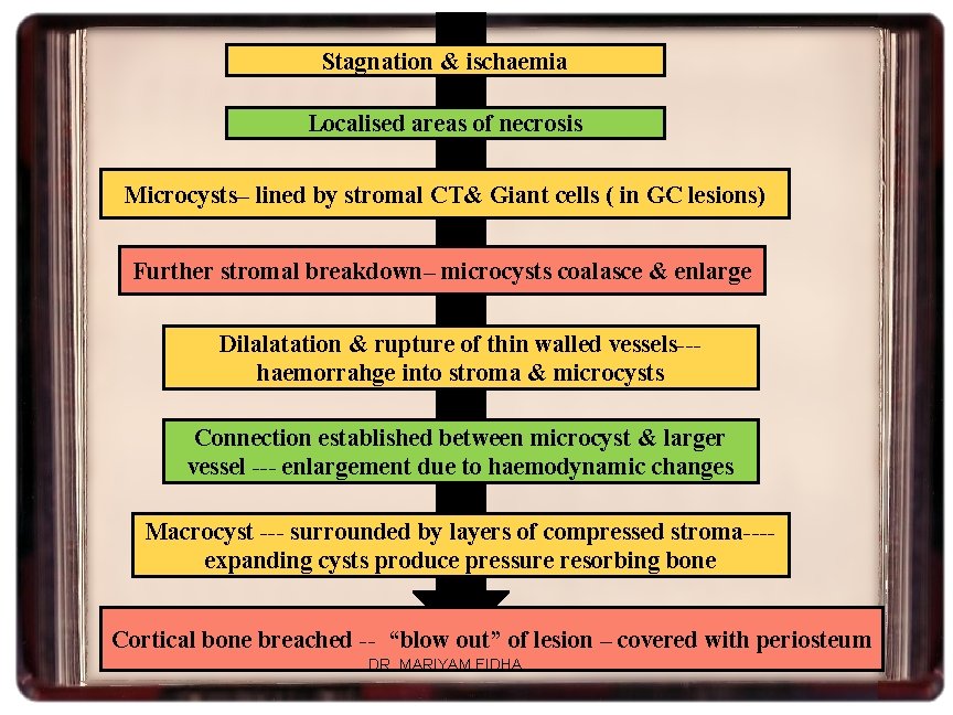 Stagnation & ischaemia Localised areas of necrosis Microcysts– lined by stromal CT& Giant cells
